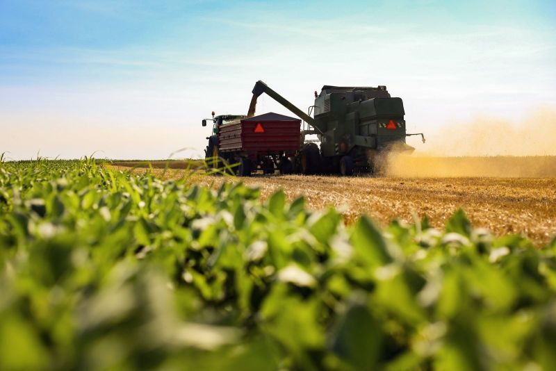 combine in field